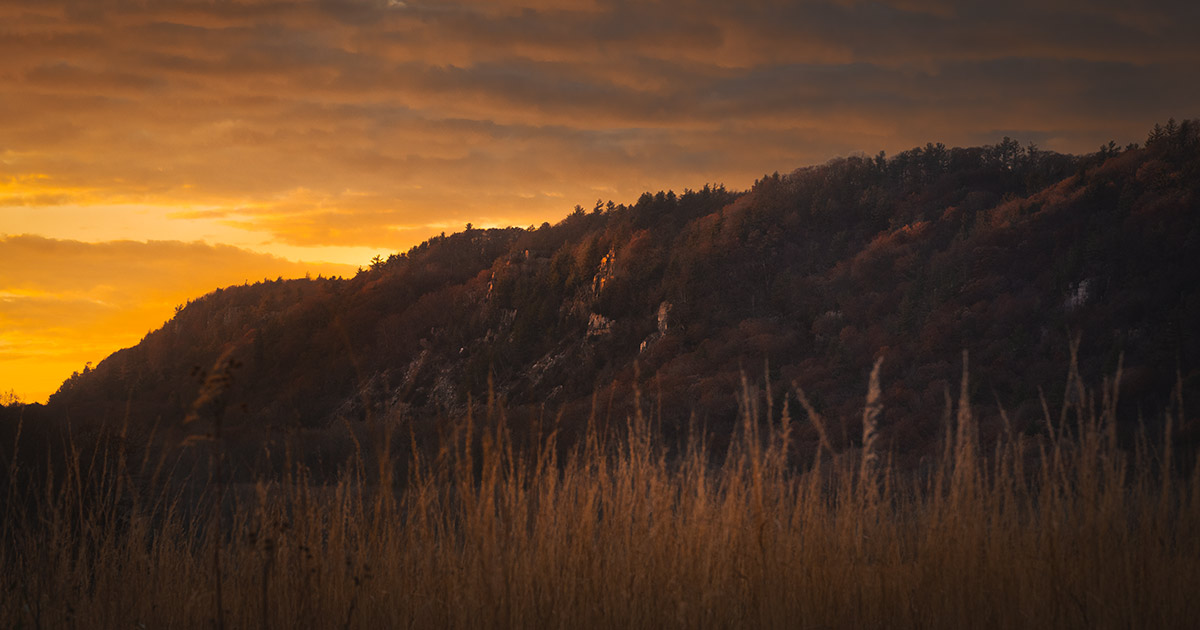 Devil's Lake bluffs at golden hour, Baraboo Hills Wisconsin