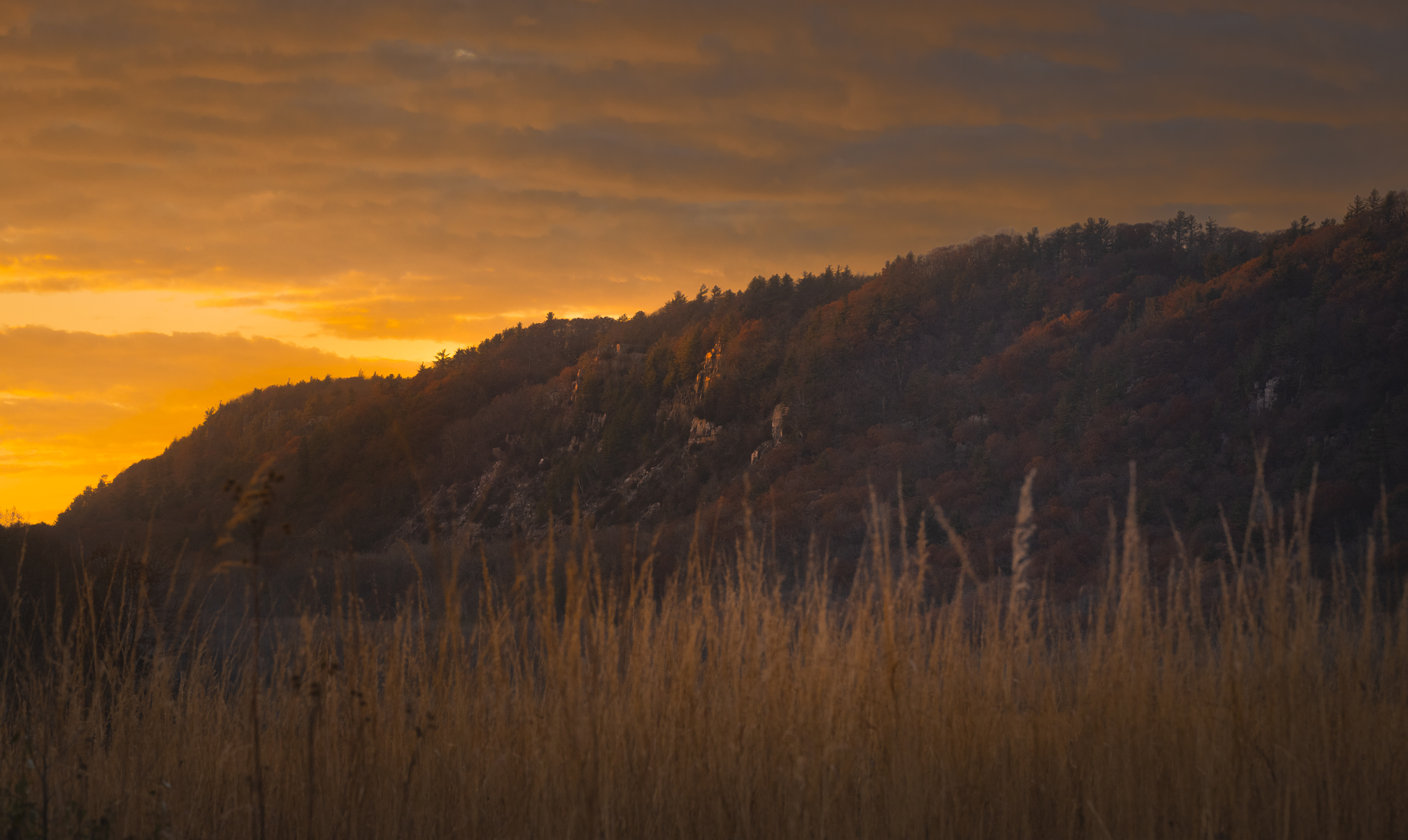 Devil's Lake bluffs at golden hour, Baraboo Hills, Wisconsin